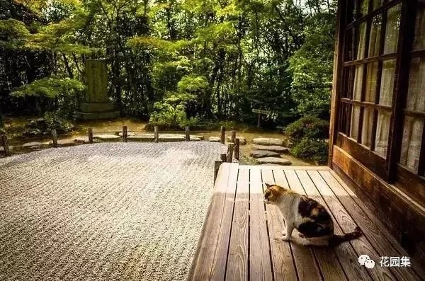 枯山水之置石造景艺术，就是这么有魅力~