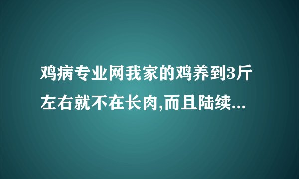 鸡病专业网我家的鸡养到3斤左右就不在长肉,而且陆续死掉,是怎么回事啊??/
