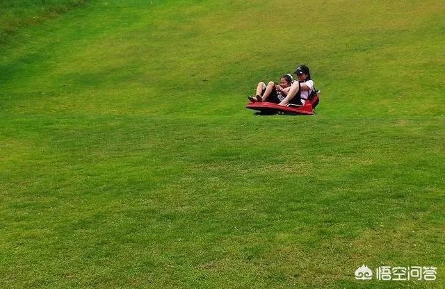 深圳光明农场有什么好玩的