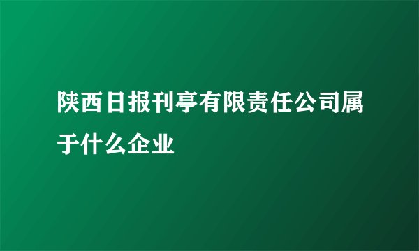 陕西日报刊亭有限责任公司属于什么企业