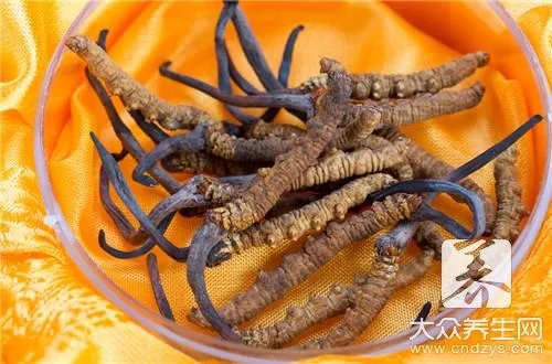 冬虫夏草这种名贵药材究竟该如何吃呢？