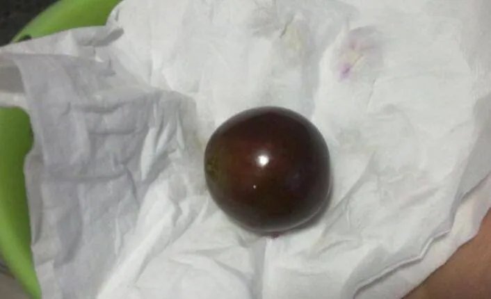 怎样做葡萄酒的步骤