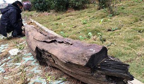 乌木怎么鉴别,乌木的价格是多少？