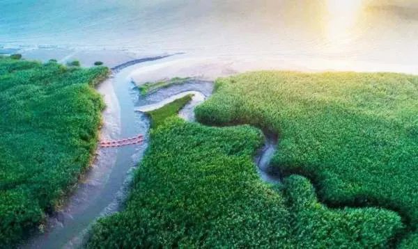 崇明岛不属于上海吗？那崇明岛到底属于哪里？