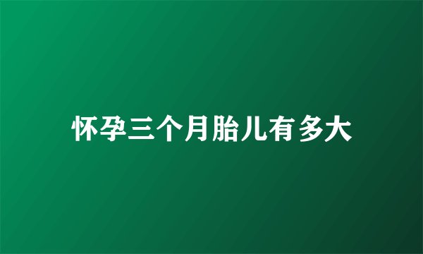 怀孕三个月胎儿有多大