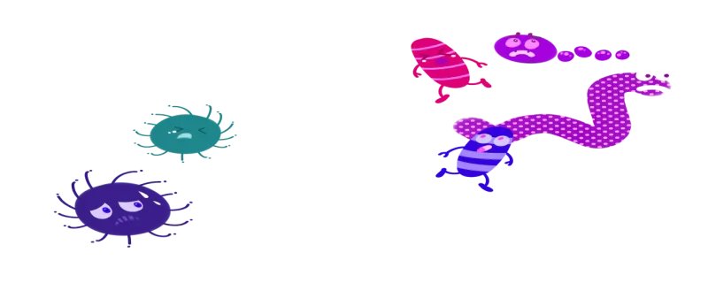 虱子怕什么 虱子怕什么东西