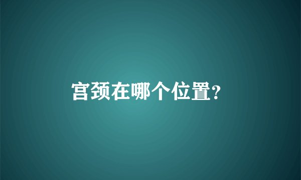 宫颈在哪个位置？