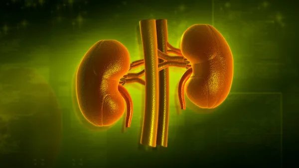 肌酐偏高的原因