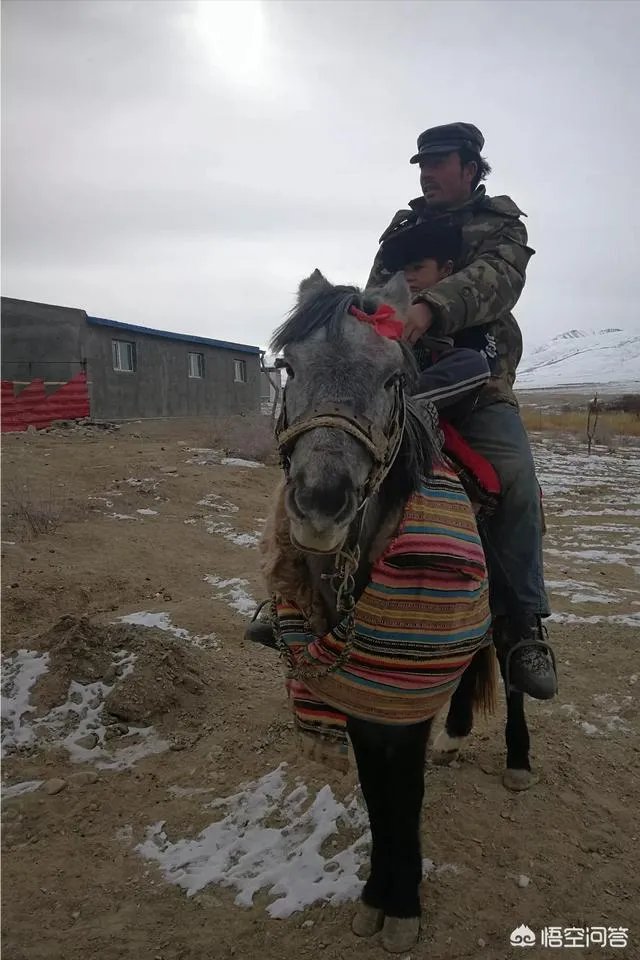 新疆伊宁市怎么样？