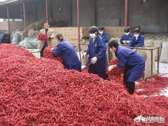 如何看待陕西省兴平市的未来发展？