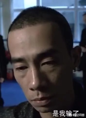 最强大脑鲍橒那么聪明，为什么只是围棋业余6段？