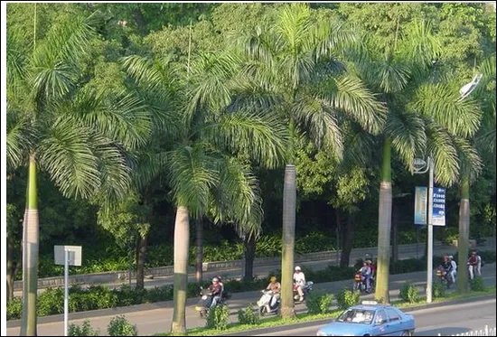 全国绿化最好和森林覆盖最多的城市是那里啊?