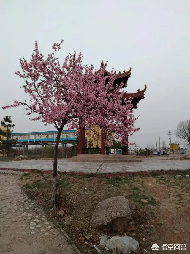 济宁有哪些旅游景点？