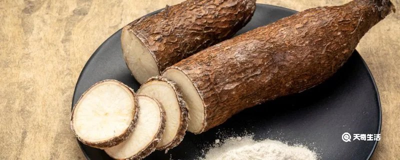 木薯是什么东西