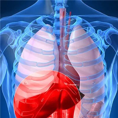 乙肝都有啥症状?