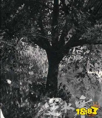 逆水寒岁月神偷怎么做 岁月神偷攻略详解