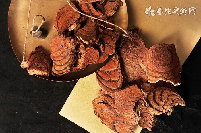 贵宾犬皮肤病怎么办