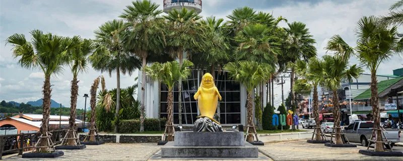 海洋美人鱼是指哪一种动物 美人鱼是指什么海洋动物