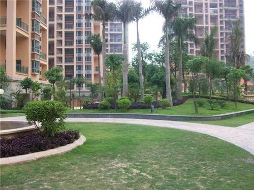 深圳安居房价格一览表  安居房9000/㎡即将迈入万元时代