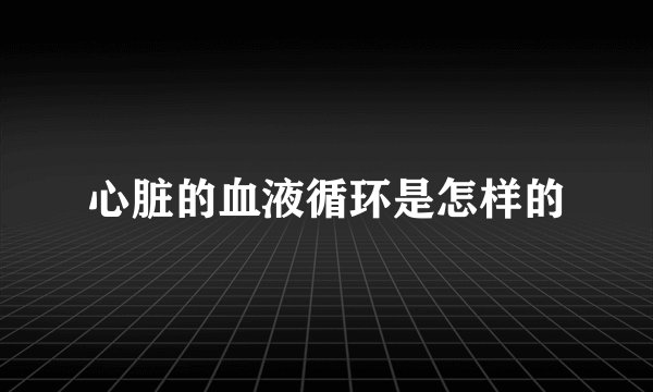 心脏的血液循环是怎样的