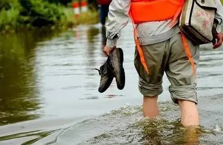 蹚浑水是什么意思