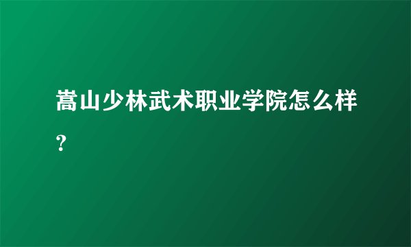 嵩山少林武术职业学院怎么样?