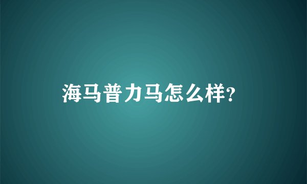 海马普力马怎么样？