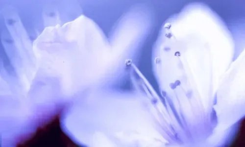 2019中秋节最新作文6篇