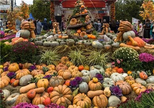 农产品加工项目，有什么工艺项目能加盟吗？