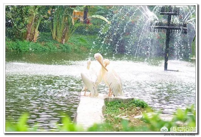 有什么好看的、景色秀丽的壁纸？