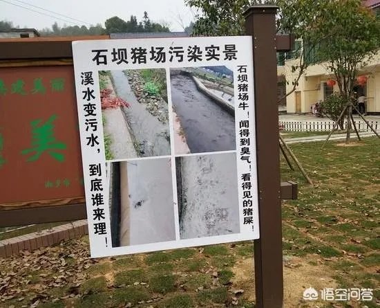 2018年下半年生猪价格走势