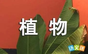 北京香山植物园