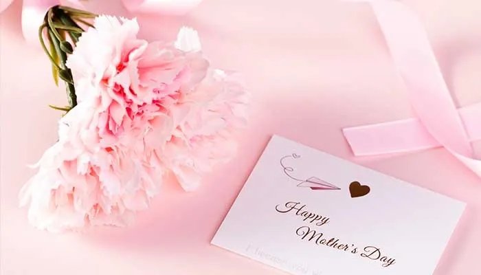 康乃馨怎么修剪 康乃馨的修剪方法