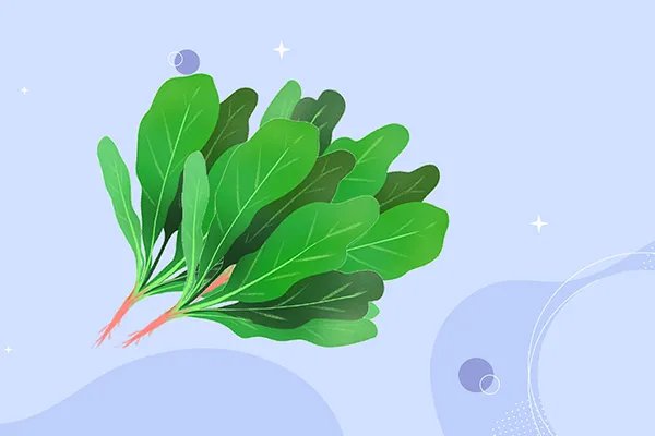 抗氧化食物有哪些