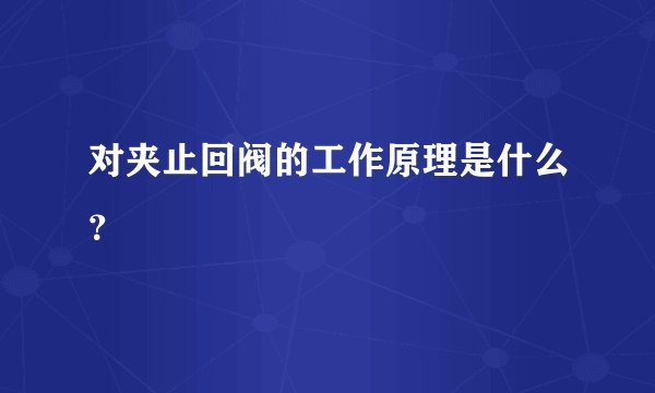 对夹止回阀的工作原理是什么？