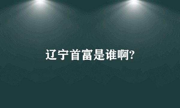 辽宁首富是谁啊?