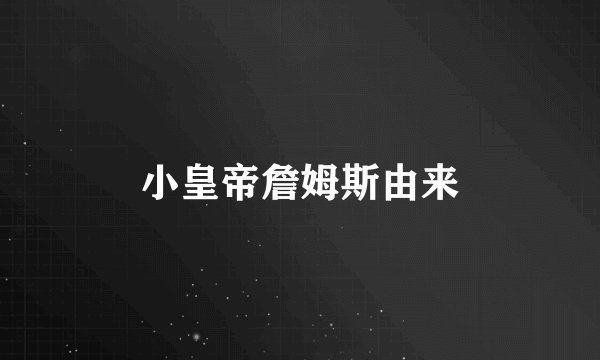 小皇帝詹姆斯由来