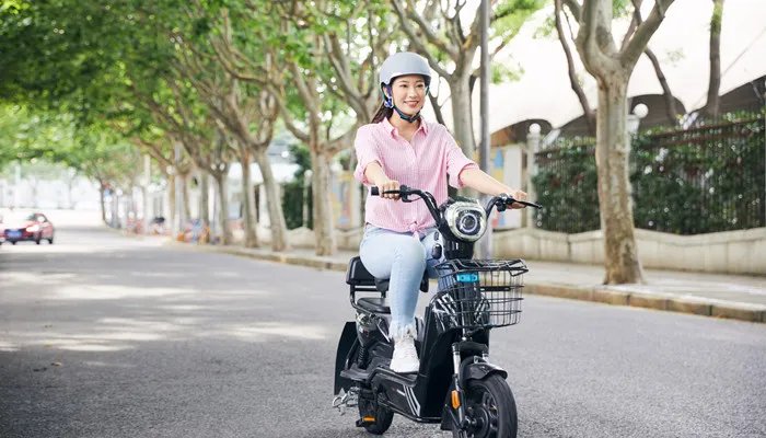 燃油助力车十大品牌排行榜 燃油助力车十大名牌