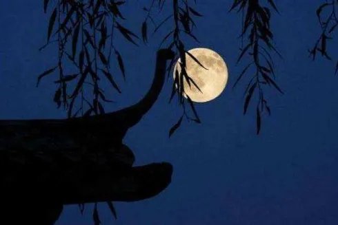 十五夜望月赏析