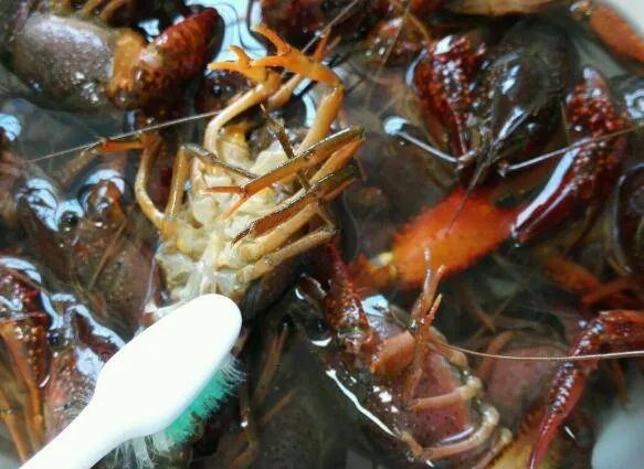 冰冻龙虾怎么做好吃