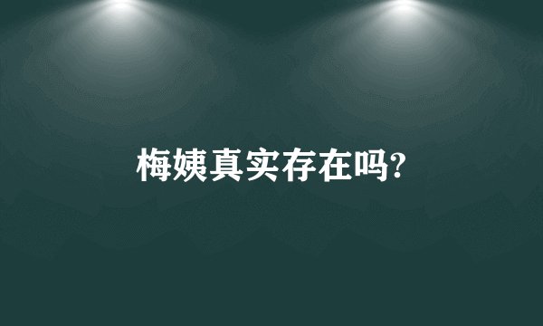 梅姨真实存在吗?