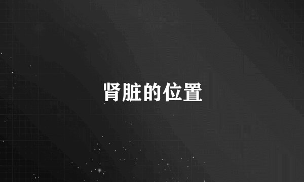 肾脏的位置