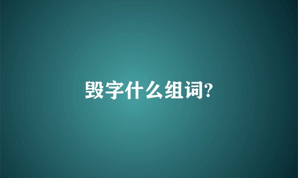毁字什么组词?