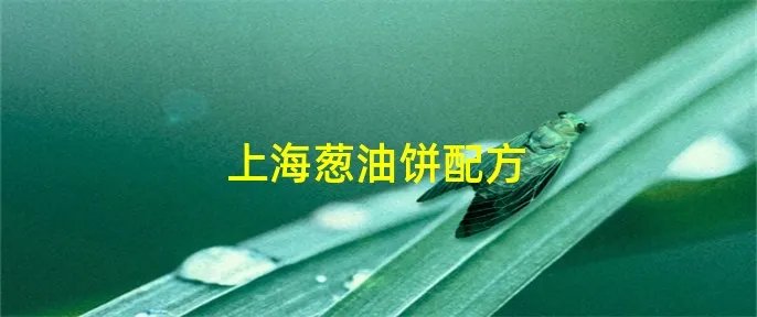 上海葱油饼配方