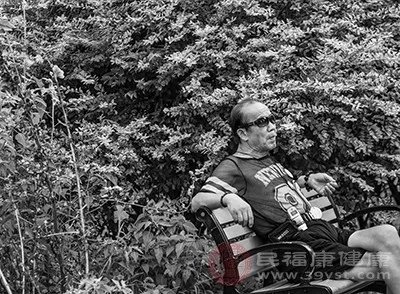 人参花的功效与作用