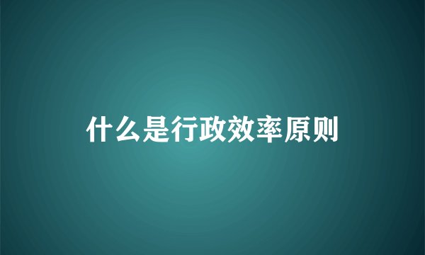 什么是行政效率原则