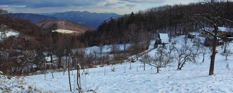 全球气候变暖的影响 全球气候变暖的影响和危害