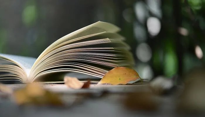 孤芳自赏什么意思