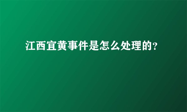 江西宜黄事件是怎么处理的？