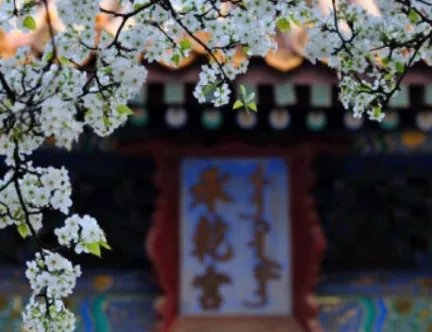 历史上是谁住在故宫承乾宫?承乾宫是什么样子的?